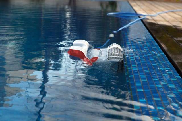 活跃的经典泳池自动吸污机-海豚自动清洗机-海豚全自动清洁机器人